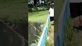 Mancing jaring spotnya berasa kolam || #short #fishing #experiment