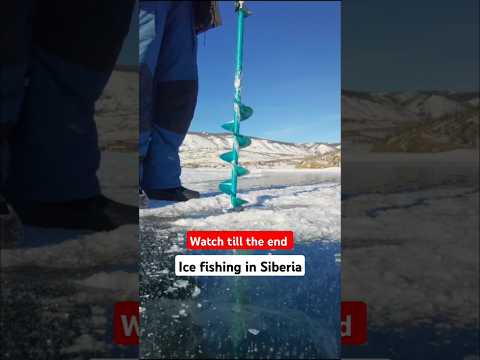 Ice fishing in Siberia. Watch till the end😂