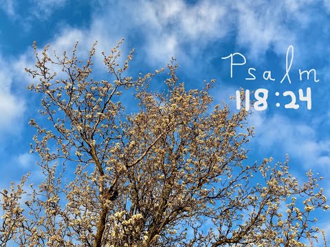 INSPIRATIONAL BIBLE VERSE - PSALM 118:24