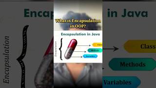 Encapsulation in OOP Explained with Example!🔐#Encapsulation #OOPConcepts #TeluguTech #shortsfeed