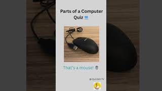Parts of a Computer Quiz 💻 | Test Your Knowledge!