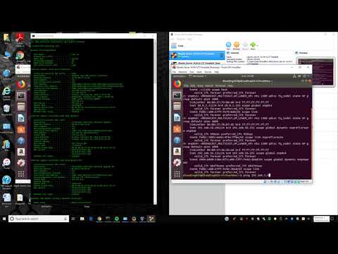 Virtual Machines Configured by Bridge and NAT