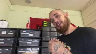 2022 Ball Python Breeding season in full swing