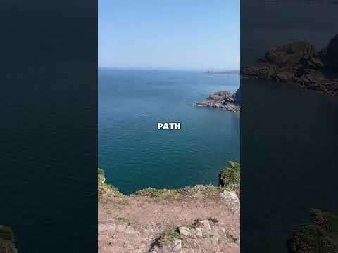 It's all about the path you choose!