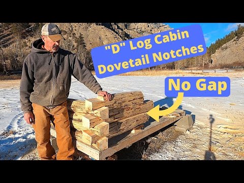 Dovetail notched log cabin with D logs.