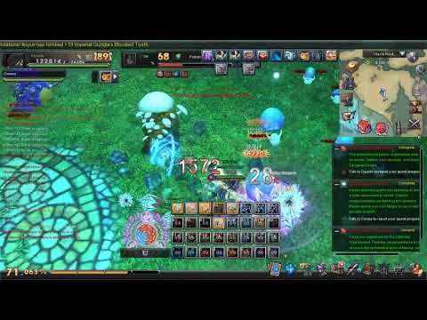 Aura Kingdom Dungeon Lvl 70 party