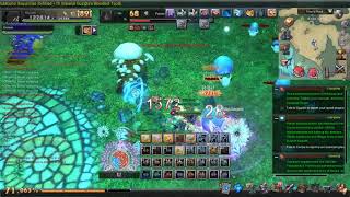 Aura Kingdom Dungeon Lvl 70 party