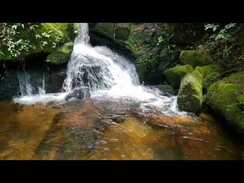 Relaxing to the sound of the waterfall