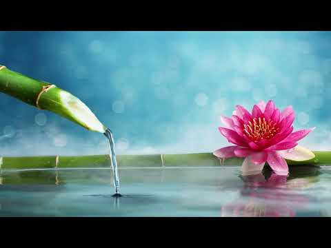 "เสียงน้ำไหลธรรมชาติ - นั่งสมาธิ ดนตรีธรรมชาติช่วยลดความเครียด