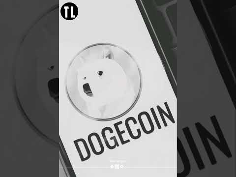 Elon Musk on Bitcoin vs Dogecoin???