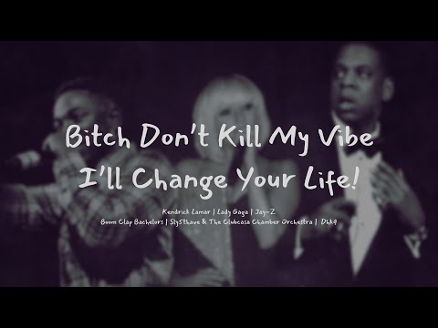 Bitch Don’t Kill My Vibe I’ll Change Your Life!