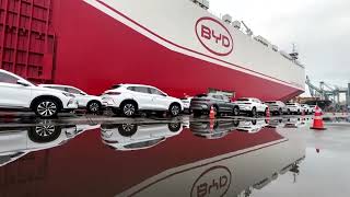 BYD to delay mass production at new Hungarian plant, sources say | REUTERS