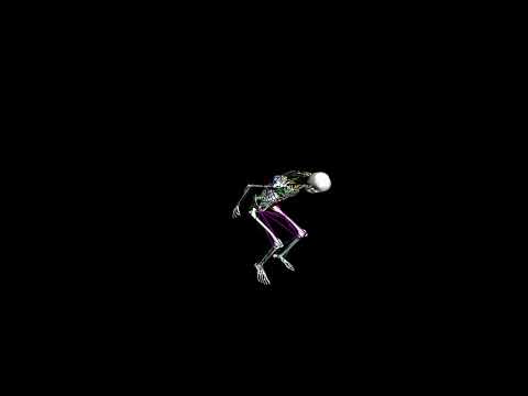 Biomechanical Human Simulation: Single Jump