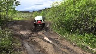 Rzr 1000