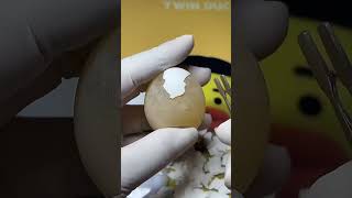 egg life #eggs #life #babychuckles