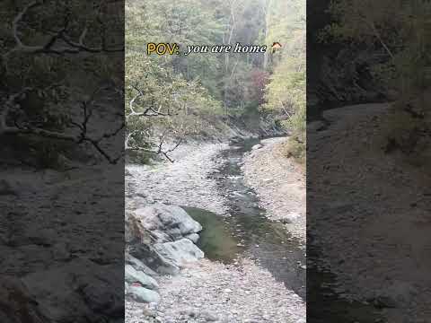 POV: You are home #shorts #youtubeshorts #ashortaday #uttarakhand #kotdwar #ektachauhan