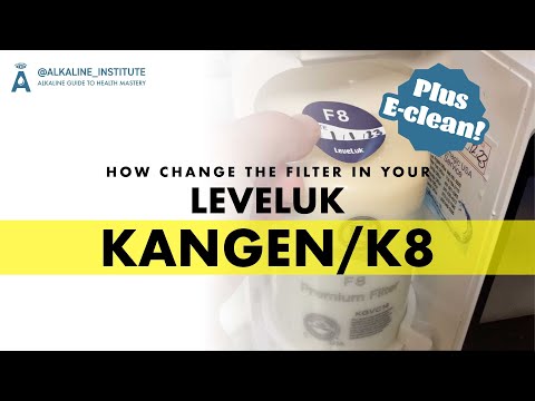 How To Change The Filter In Your Leveluk Kangen K8 | Plus E-Cleaning!