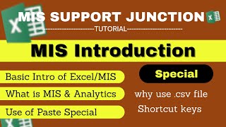 Excel - MIS Report | How to Create MIS Report in Excel | Paste Special kya hai | MIS Report
