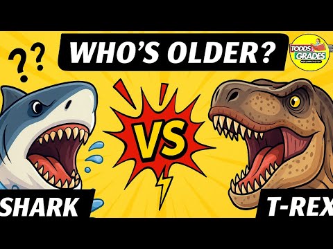 Shark Vs T-Rex: Who’s Really Older? Mind-Blowing Animal Facts for Kids! #shorts