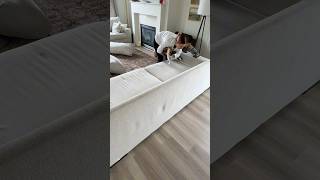 SECRET To Not Having To CHOOSE BETWEEN Kids, Pets OR White Couches 🐕🐈✨