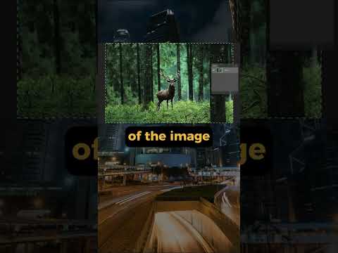 Adobe Firefly Is Changing Graphic Design #ailearning #artificialintelligence #graphicdesign #ai