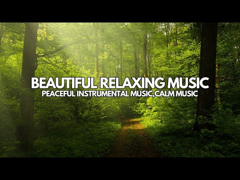Beautiful Relaxing Music, Peaceful Instrumental Music,Calm Music