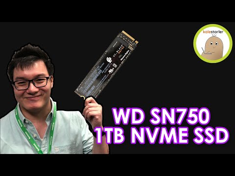 Western Digital SN750 NVME 1TB Upgrade!