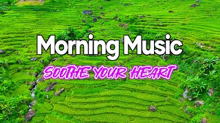 Morning Harmony - Relaxing Rhumba Cha Cha Guitar Instrumental Melodies to Soothe Your Heart