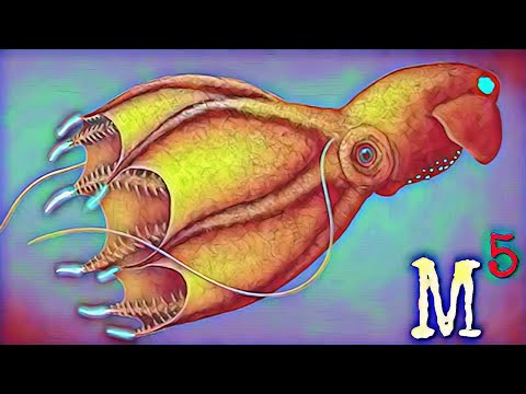 5 Mysterious Deep Sea Creatures Caught on Tape