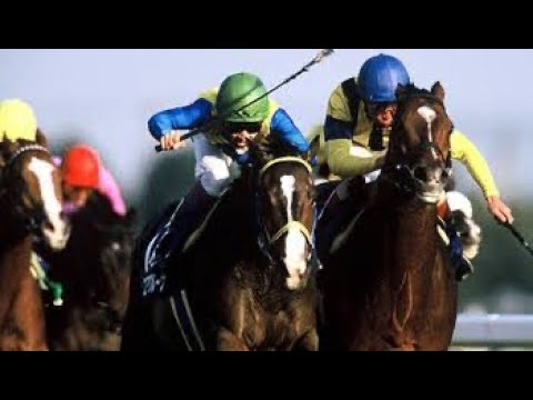 歴代　天皇賞秋　10選　【競馬　名レース集】