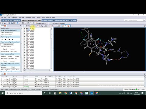 Molecular docking using Discovery studio software
