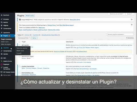 ¿Cómo actualizar o desinstalar un plugin en Wordpress?