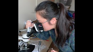 Seeing Is Believing: Teaching Kids the Risks of Vaping
