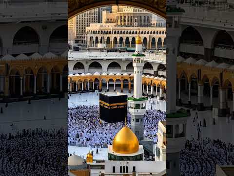 Allah #personalgrowth #success #shorts