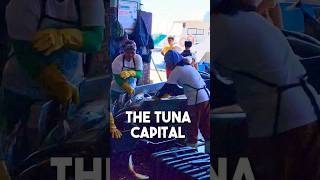 Exploring General Santos City Fish Port - The Tuna Capital of the Philippines | GenSan Tourist Spot