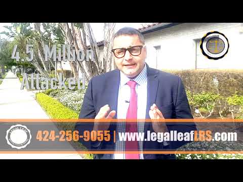 Dog Bite Injury Lawyer