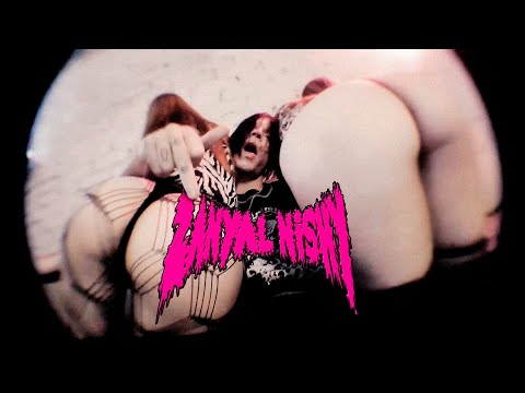 dmtboy — ЗАНЯЛ НИШУ [MUSIC VIDEO]