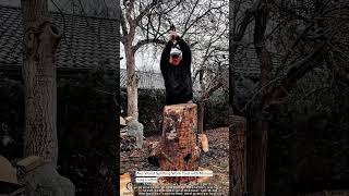 Axe Wood Splitting Work Tool with Manual Log Cutting #worktool