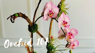 Orchids 101 Virtual Learning