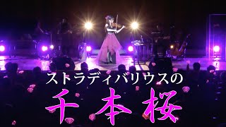 ストラディバリウス！今宵の『千本桜』はキレッキレ！／石川綾子　AYAKO ISHIKAWA -SENBONZAKURA on Stradivarius