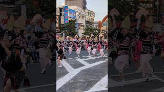 Makoto-ren – Koenji Awa Odori 2025 | Tokyo’s Largest Awa Odori Festival