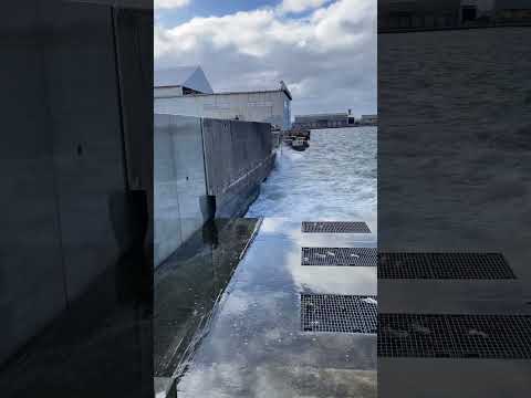 釣れそうな場所見つけたけど入れない