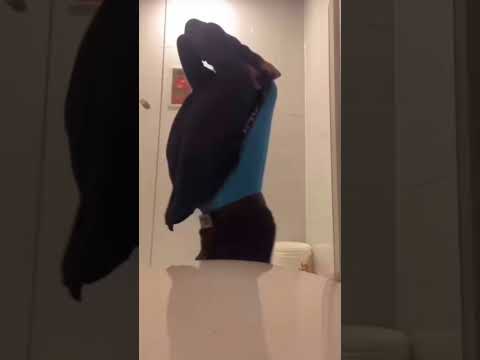 random meme | #Memes #DankMemes #Funny #Shorts #Viral #Trending #Comedy #Humor