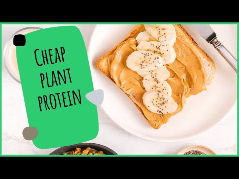 10 Best Plant-Based Cheap Sources of Protein