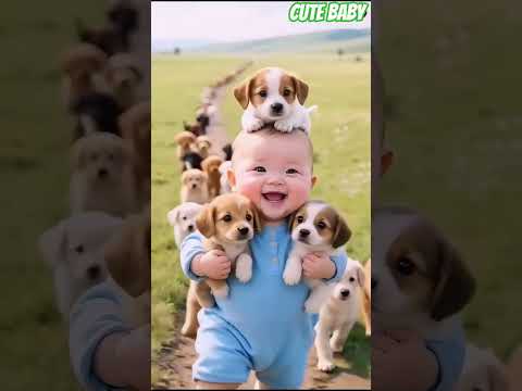 cute ❤️😑😊  funny cat #shorts #funny #cat #cute #animals #animation #funnyvideo#comedy #sports