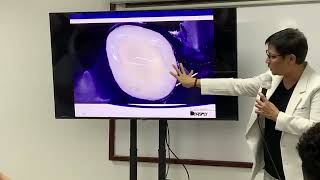 CC Operative Dentistry Smart Dentin Replacement October 28, 2025