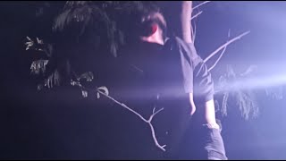 Live misteri‼️cari mustika bunga sereh untuk obatai zen creator