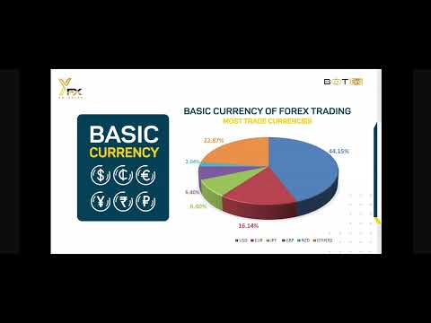 YorkerFx, Meta Trader 5, Botbro Full Plan and Experiences