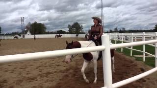 MOHC Championships-Western Horsemanship