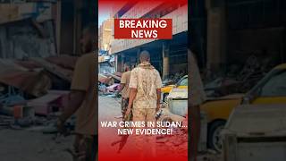 RSF Accused of Executions and Rape in Darfur #sudan #sudanconflict #sudannews #rapidsupportforces